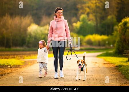 Mère et enfant et beagle marchant sur la route de campagne entre les champs agricoles vers le vilage de la forêt Banque D'Images