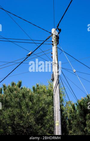 Un poteau de service transportant divers services photographiés contre un ciel bleu clair et sans nuages au printemps. Banque D'Images