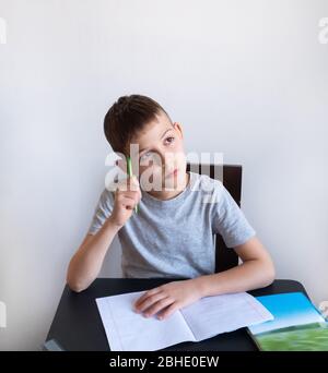 Un écolier étudie à la maison et fait des devoirs à l'école. Un apprentissage à distance à domicile. Banque D'Images