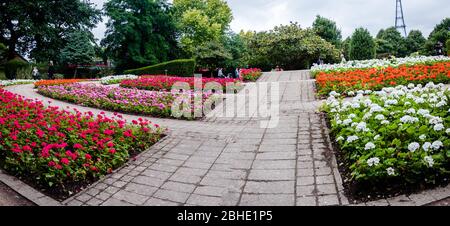 Parterres fleuries colorées au Crystal Palace Park, Londres, Angleterre, Royaume-Uni Banque D'Images