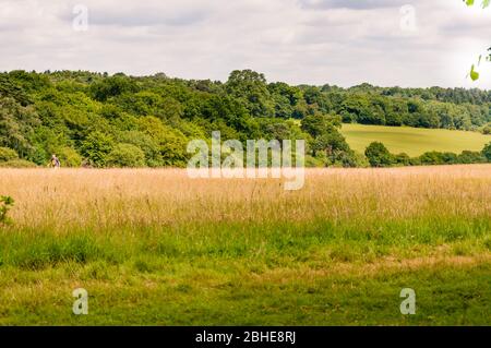 Trent Park, North London, Enfield, Londres, Royaume-Uni Banque D'Images
