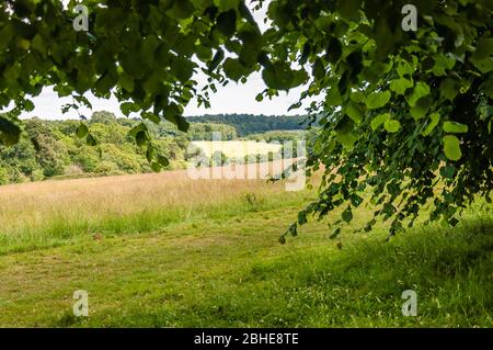 Trent Park, North London, Enfield, Londres, Royaume-Uni Banque D'Images