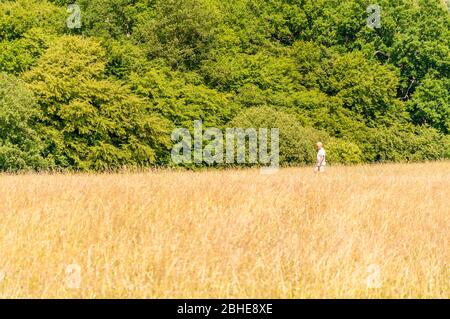 Trent Park, North London, Enfield, Londres, Royaume-Uni Banque D'Images