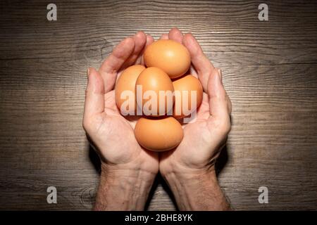 mains tenant des œufs frais, Banque D'Images