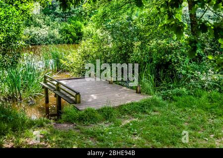 Lac à Trent Park, Enfield, Londres, Angleterre, Royaume-Uni Banque D'Images