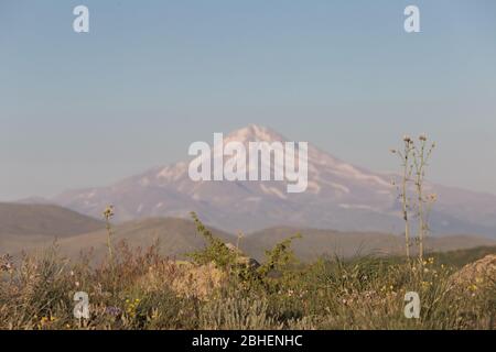 Vue d'été sur le Mont Erciyes à Kayseri, avec des fleurs sauvages. Aschodeline globifera Cappadocia, Turquie. Photo paysage Banque D'Images