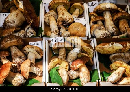 De nombreux champignons de pain de sou (boletus edulis) sur un marché de décrochage en italie Banque D'Images