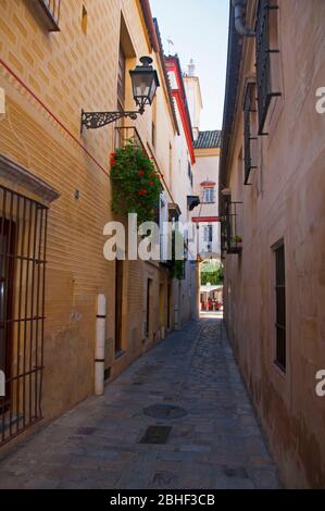 Ancienne rue étroite entre deux bâtiments avec l'arc à la fin. Petits balcons avec sols et lanterne. Séville, Espagne Banque D'Images