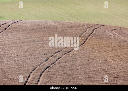 Les chenilles du tracteur traversent un champ non planté. En arrière-plan un champ avec des plantes vertes. Concept pour l'industrie agricole et l'agriculture. Banque D'Images