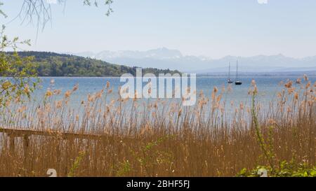 Panorama d'Ammersee (lac Ammer) avec roseau et deux voiliers. Au loin chaîne de montagnes Wetterstein avec la plus haute montagne d'Allemagne, Zugspitze. Banque D'Images