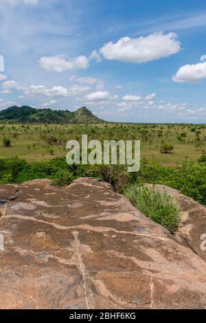 Réserve de jeu de paysage Sai près d'Accra, Ghana. Banque D'Images