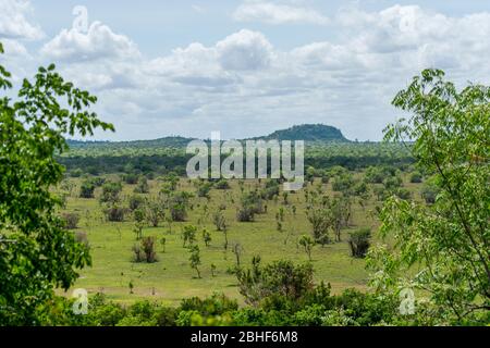 Réserve de jeu de paysage Sai près d'Accra, Ghana. Banque D'Images