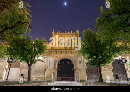 Cour avec orangers. Mosquée de Cordoue. Andalousie, Espagne Banque D'Images