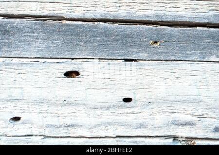 Particule de pin blanchi mur de maison avec craquelé et trous de coléoptères d'écorce, à proximité. Texture, arrière-plan Banque D'Images