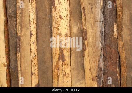 Texture en bois détaillée. Planches de neige en poudre. Arrière-plan vertical. Surface en bois non peinte.non polie avec veines longitudinales Banque D'Images