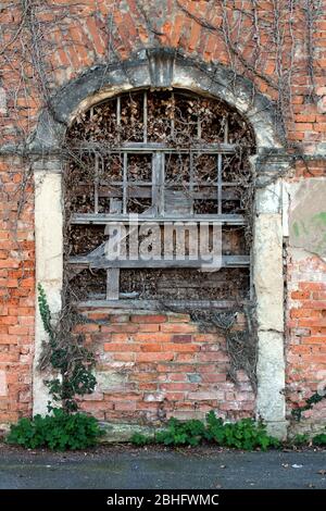 Embarqué et fermé créepy regardant vieux style vénitien brique rouge abandonné de la banlieue entrée familiale couverte avec des usines de chenilles sèches à côté de Banque D'Images