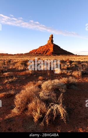 UT00543-00...UTAH - Butte dans la vallée des dieux, comté de San Juan, Bureau de gestion des terres. Banque D'Images