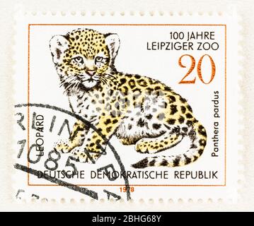 SEATTLE WASHINGTON - 25 avril 2020: Affranchissement avec jeune léopard commémorant 100 ans du zoo de Leipzig en Allemagne de l'est. Scott # 1911 Banque D'Images