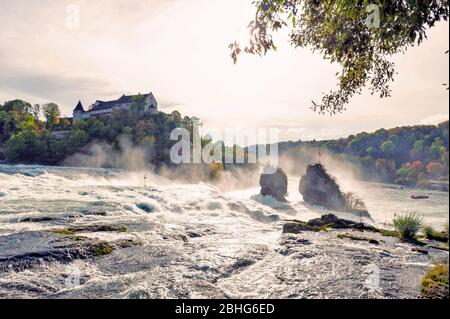 Des rapides blancs puissants du Rhin aux chutes du Rhin, la célèbre et la plus grande cascade d'Europe située à Schaffhausen, en Suisse Banque D'Images