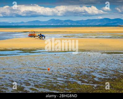 Tracteur d'algues et de kayaks à marée basse, Sandy Bay, Marahau, Tasman, Nouvelle-Zélande Banque D'Images