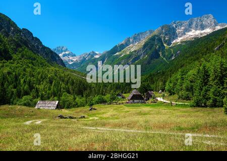 Paysage alpin d'été étonnant avec des maisons rurales et des montagnes enneigées en arrière-plan, vallée de la Trenta, Slovénie, Europe Banque D'Images