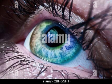 Œil humain avec iris multicolore, macro-cadre. Banque D'Images