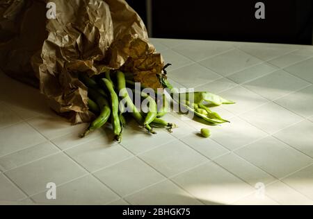 Haricots larges fraîchement cueillis sur une table (Pesaro, Italie, Europe) Banque D'Images