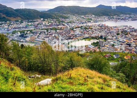 Bergen, Hordaland / Norvège - 2019/09/03: Vue panoramique sur la ville avec le port de Bergen Vagen - Bergen Havn - et le quartier historique du patrimoine de Bryggen vu de Banque D'Images