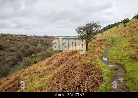 Le viaduc de Meldon (1874), qui a été désutilisé, transporte le London and South Western Railway au-dessus de la West Okement River à Dartmoor. Devon, Angleterre, Royaume-Uni. Banque D'Images