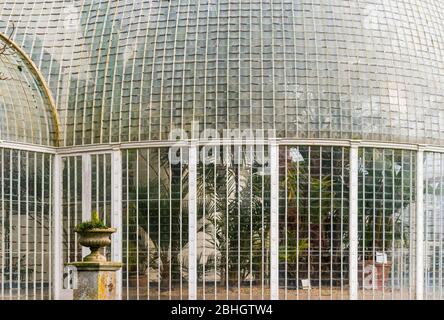 Le Palm House (1820) est de conception curviligne avec 18,000 panneaux de verre dans de fines barres de vitrage en fer. Bicton Park Botanical Gardens, Devon, Angleterre, Royaume-Uni. Banque D'Images
