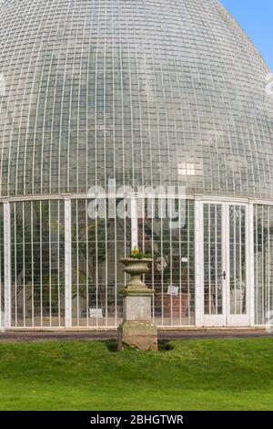 Le Palm House (1820) est de conception curviligne avec 18,000 panneaux de verre dans de fines barres de vitrage en fer. Bicton Park Botanical Gardens, Devon, Angleterre, Royaume-Uni. Banque D'Images