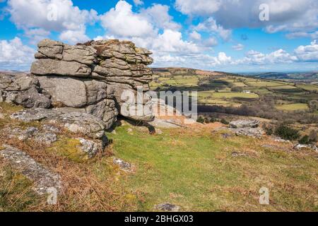 Vue de Hayne Down, près de Manaton, en direction de Eastdon Tor, Dartmoor National Park, Devon, Angleterre, Royaume-Uni. Banque D'Images