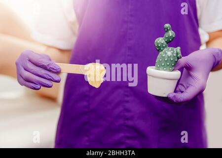 Des mains de maître de beauté dans des gants maintiennent la spatule avec la pâte d'épilation à sucre et le cactus. Concept de traction des cheveux pour une peau douce Banque D'Images