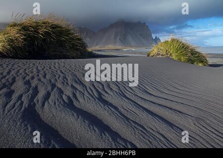 Dunes de sable volcanique noir à Vestrahorn sur la péninsule de Stokksness en Islande orientale. Banque D'Images