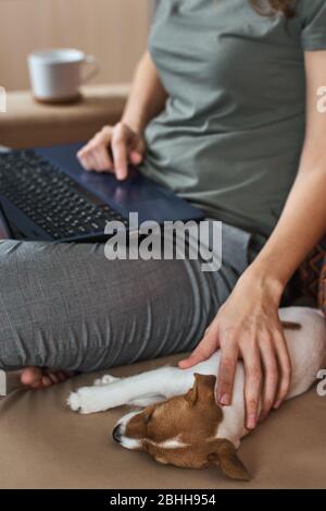 Femme pating Jack russel terrier chien chiot sur canapé. Bonnes relations et amitié entre le propriétaire et l'animal de compagnie Banque D'Images