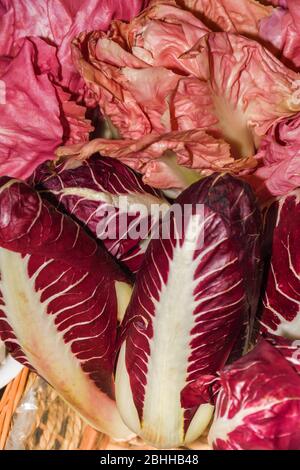 Rouge radicchio rose endives légumes crus violet entier rose couleur sur l'exposition dans le célèbre marché de Borough à Londres Banque D'Images