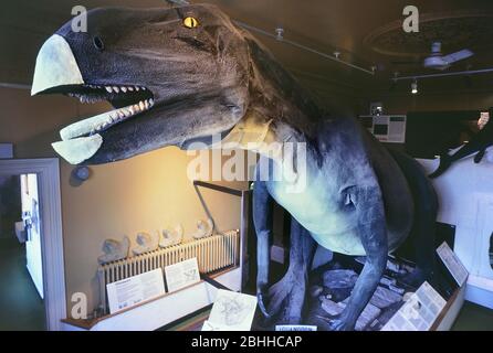 Exposition d'Iguanodon « Emily le dinosaure » à l'ancienne maison Cumberland. Musée des sciences naturelles et aquarium. Maintenant appelé Cumberland House Natural History Museum, Portsmouth, Hampshire, Angleterre, Royaume-Uni. Circa1987 Banque D'Images