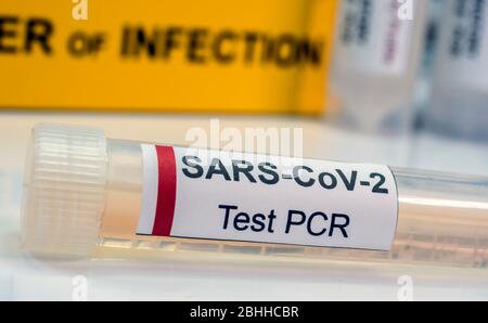 Flacon pcr de SarsCov2 coronavirus, image conceptuelle Banque D'Images