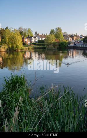 Sun se lève sur l'étang du village de Lindfield près de Haywards Heath, West Sussex UK, le matin d'avril beau et ensoleillé. Banque D'Images