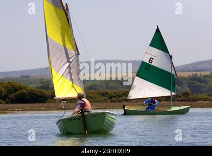 Courses de truies sur la rivière Yar, île de Wight Banque D'Images