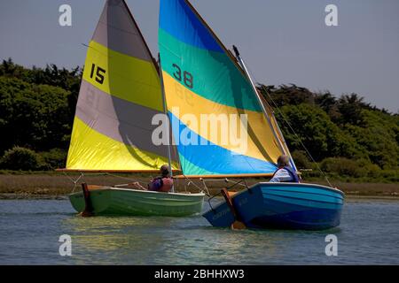 Courses de truies sur la rivière Yar, île de Wight Banque D'Images