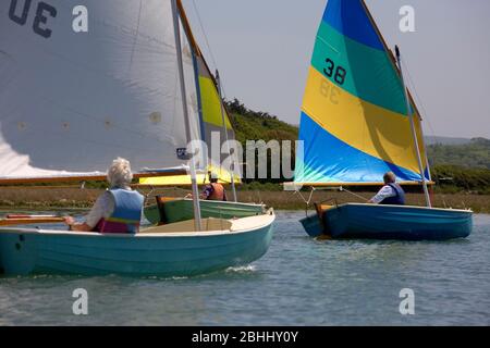 Courses de truies sur la rivière Yar, île de Wight Banque D'Images