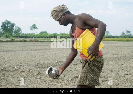 agriculteur indien donnant des pesticides Banque D'Images