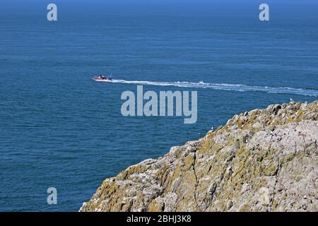 Les touristes en bateau font une excursion autour de South Stack Lighthouse Bay, Anglesey, Pays de Galles Banque D'Images