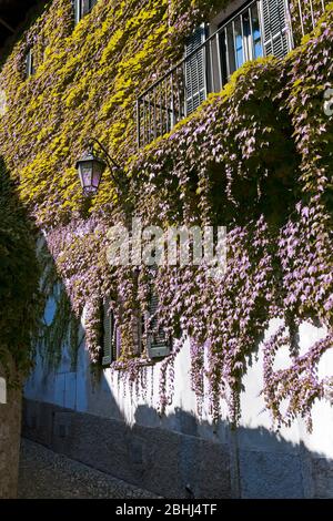 Bellagio, Italie - 13 août 2013 : détail du Bellagio en été, Italie Banque D'Images