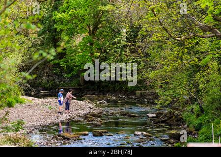 Ardara, Comté de Donegal, Irlande. 26 avril 2020. Les gens marchent à côté de la rivière Owentocker près de leur maison. En raison du coronavirus, Covid-19, les personnes de confinement pandémique peuvent seulement s'exercer dans un rayon de 2Km de leur domicile. Banque D'Images