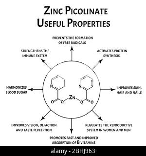 Picolinate de zinc propriétés utiles formule chimique moléculaire. Infographies du zinc. Illustration vectorielle sur un arrière-plan isolé. Illustration de Vecteur