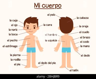 Mi Cuerpo (Mon corps), diagramme des parties du corps humain en espagnol pour l'apprentissage des langues. Joli garçon de dessin animé avec étiquettes, graphique infographie pour les enfants. Illustration de Vecteur