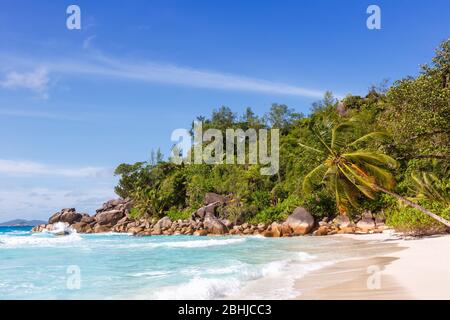 Seychelles Anse Georgette plage Praslin île Palm vacances mer eau Banque D'Images