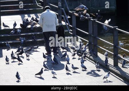 Hambourg, Allemagne. 24 avril 2020. Un homme se nourrit de pigeons à l'Alster sur la Jungfernstieg. Crédit: Bodo Marks/dpa/Alay Live News Banque D'Images